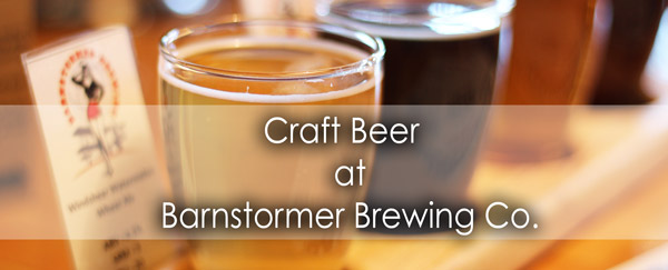 LDON-Barnstormer-banner