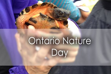 Ontario Nature Day - Lets Discover ON Travel Blog