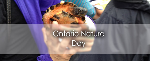 naturedaybanner