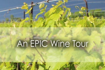 An EPIC wine tour in Windsor Essex - Lets Discover ON Travel blog