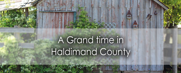 haldimand-banner